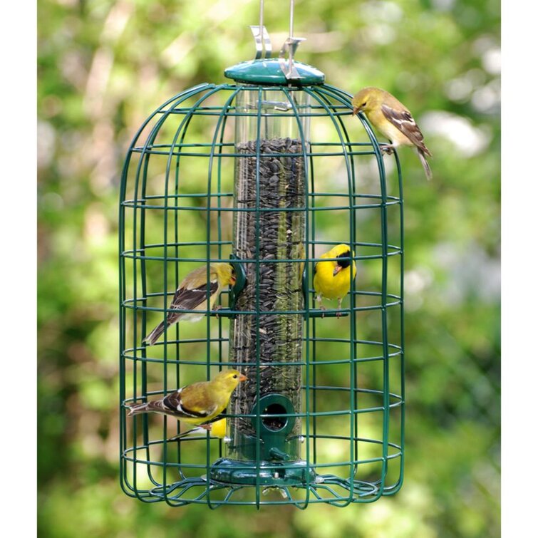 Caged bird deals feeder